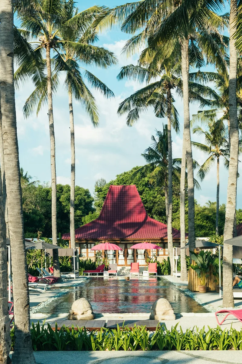 Sunlit palms and a tropical garden swimming pool